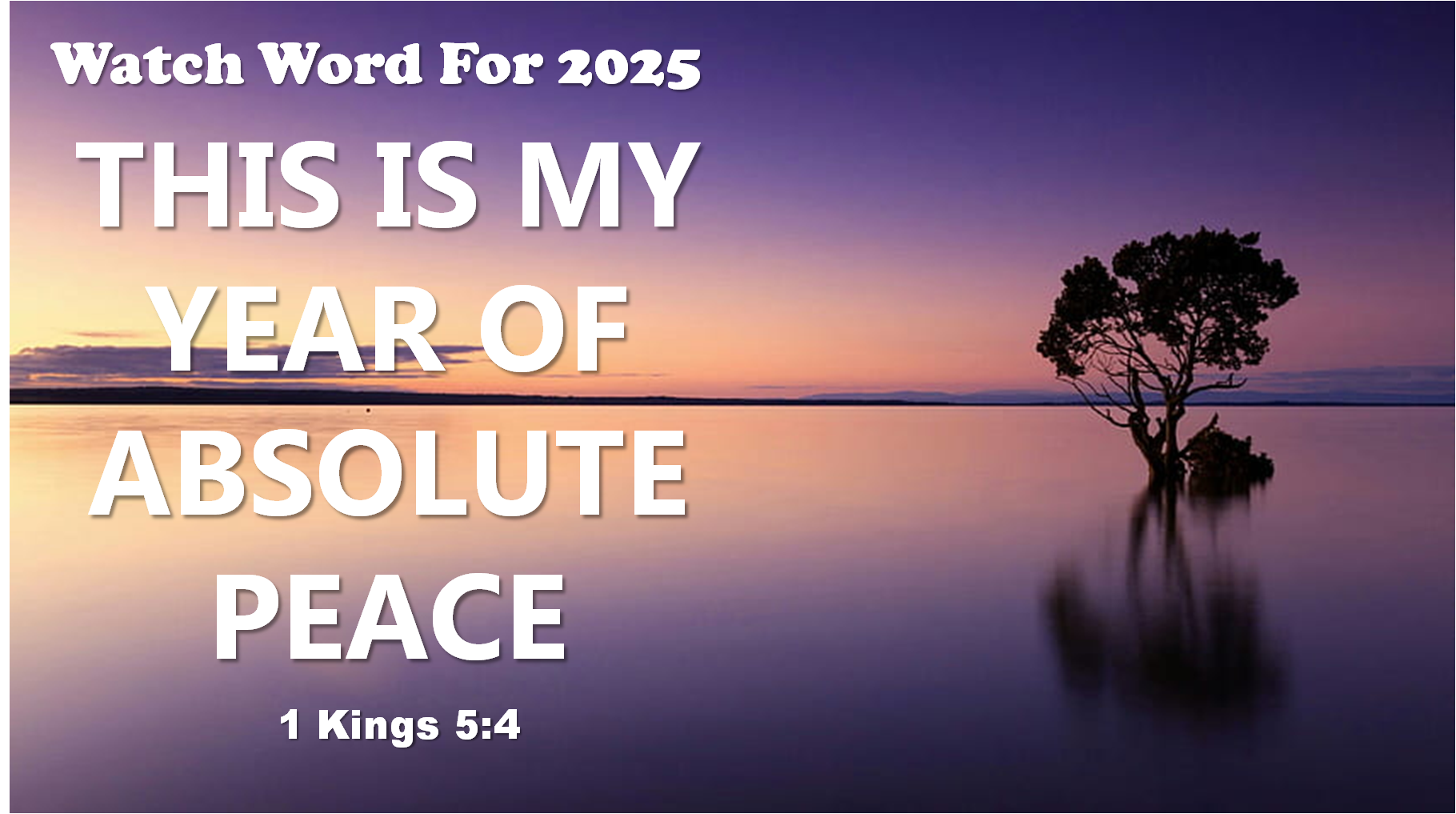 MY YEAR OF ABSOLUTE PEACE